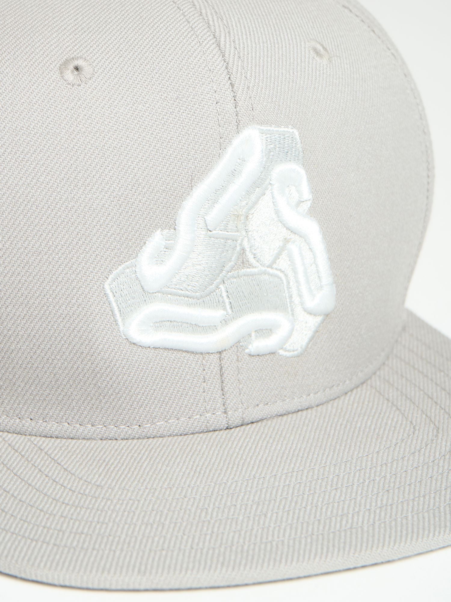3D SSS FLAT CAP