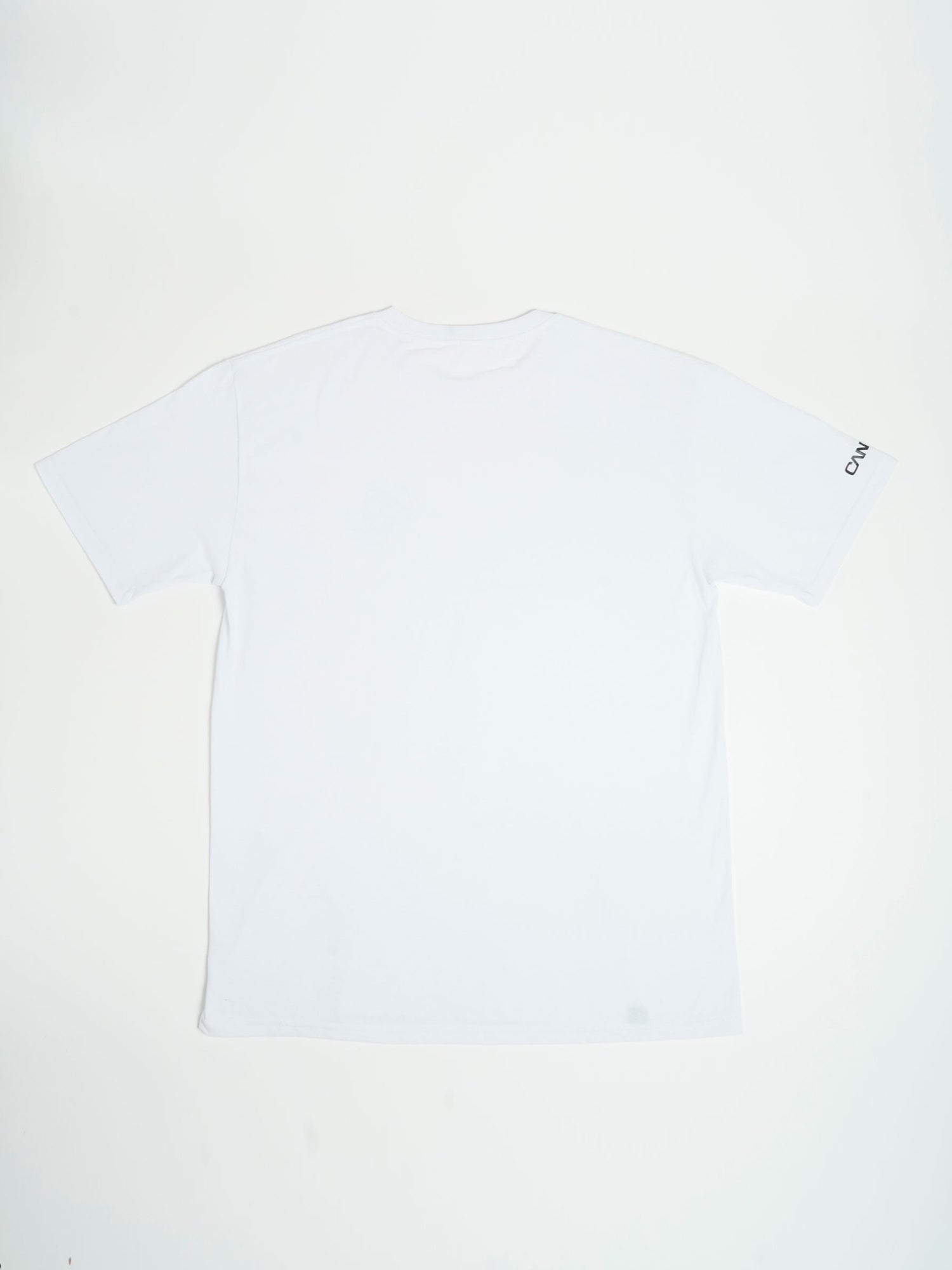 BLANK CANVAS TEE - Blanco
